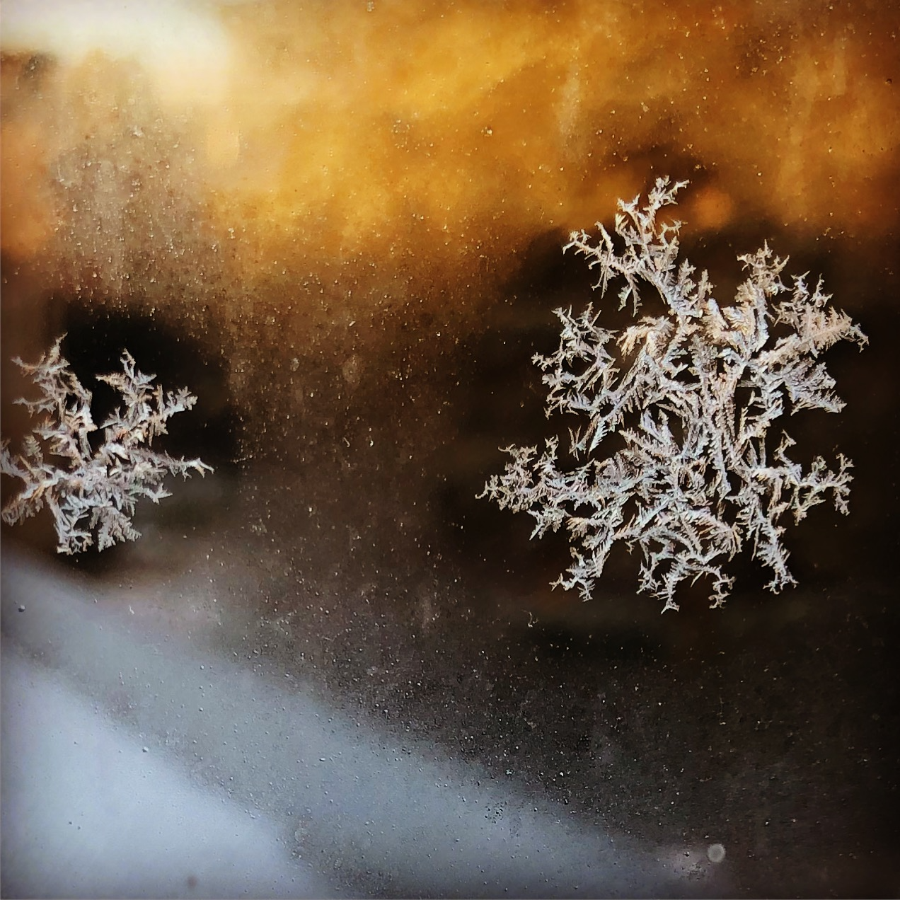 Frosty crystals on a window in winter
