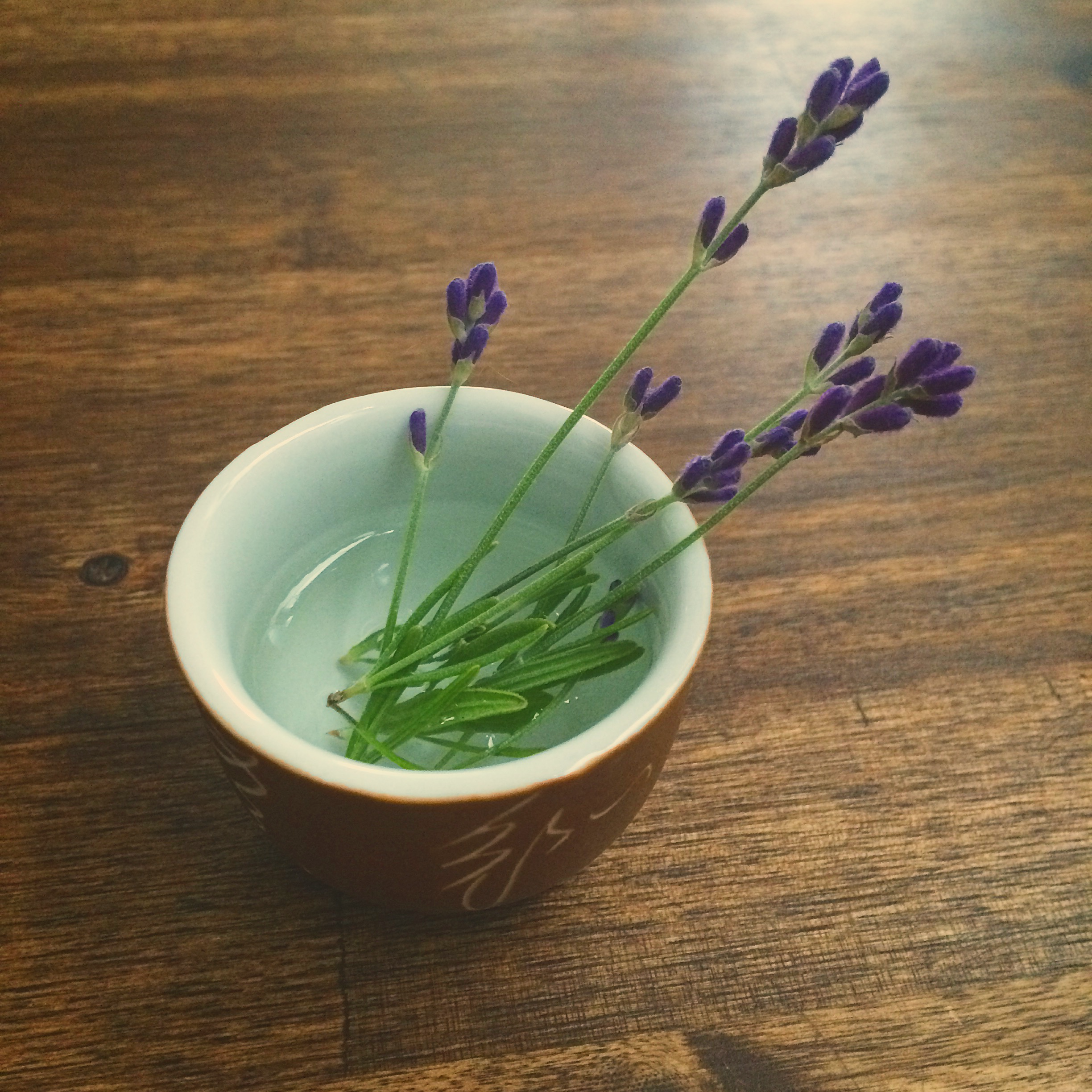 Small sprigs of lavender rest in a tiny ceramic sake cup filled with water