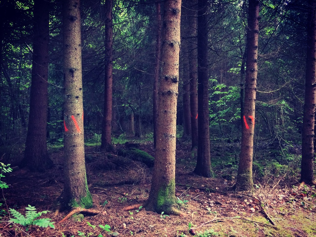 Needing air and trees to reduce the anger