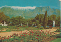 Blank postcard - Table Mountain with 'table cloth' from the Cape Town Gardens, South Africa